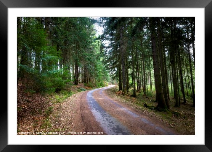 Road in the spring forest. Framed Mounted Print by Sergey Fedoskin
