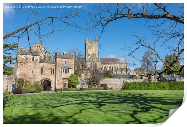 Wells Cathedral Print by David Hare