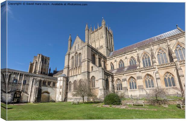 Wells Cathedral Canvas Print by David Hare