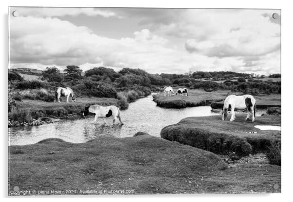 Bodmin Moor Ponies Mono Acrylic by Diana Mower