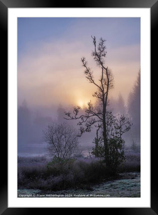 Misty Morning Framed Mounted Print by Fraser Hetherington