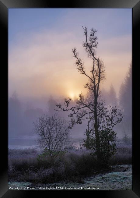 Misty Morning Framed Print by Fraser Hetherington