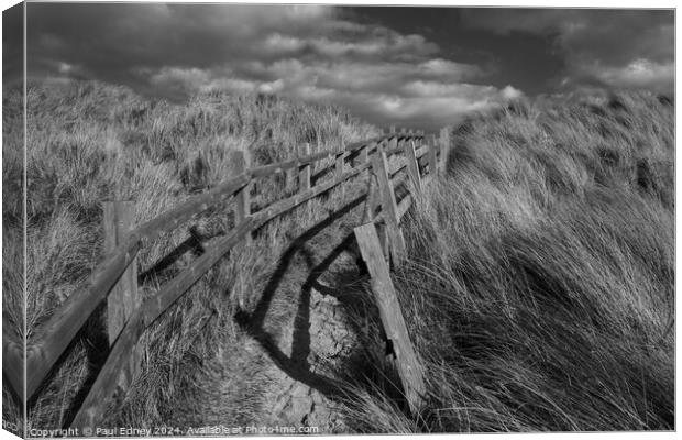 Path through the dunes Canvas Print by Paul Edney