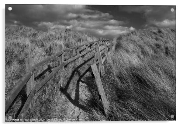 Path through the dunes Acrylic by Paul Edney