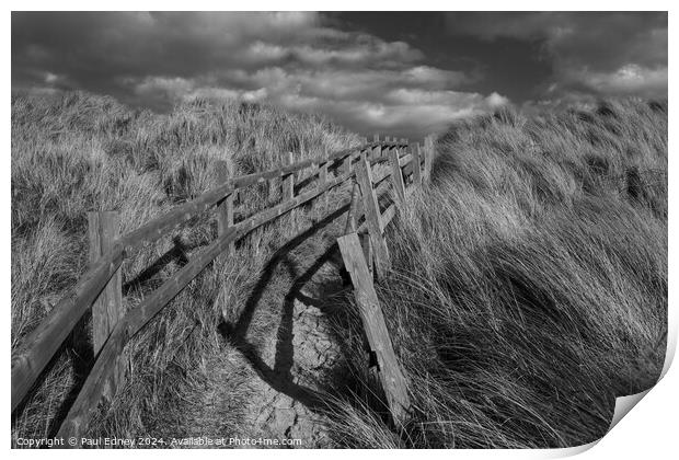 Path through the dunes Print by Paul Edney