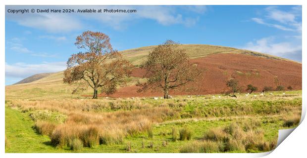 Pendle Hill Print by David Hare