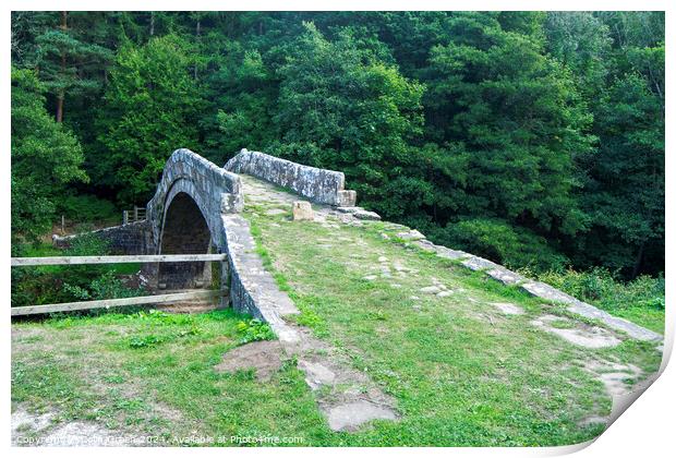 Beggar's Bridge, Glaisdale Print by Colin Green