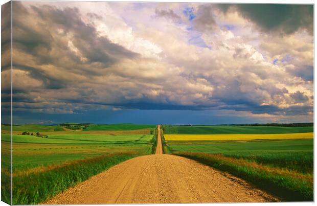 Country Road into the Storm Canvas Print by Dave Reede