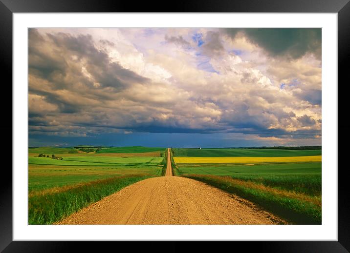 Country Road into the Storm Framed Mounted Print by Dave Reede