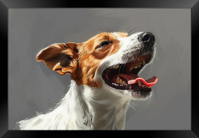 Laughing Jack Russell Framed Print by Picture Wizard