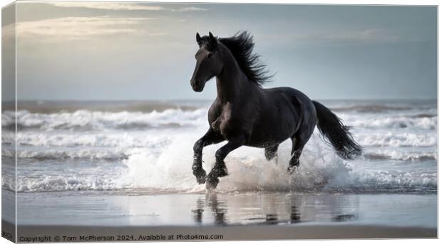 Fresian Horse run through the surf at the beach Canvas Print by Tom McPherson
