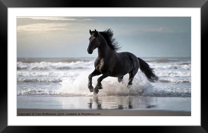 Fresian Horse run through the surf at the beach Framed Mounted Print by Tom McPherson