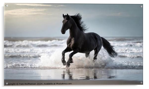 Fresian Horse run through the surf at the beach Acrylic by Tom McPherson