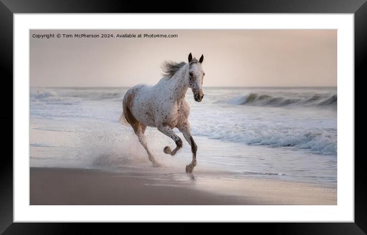 The Appaloosa Framed Mounted Print by Tom McPherson