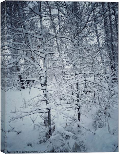 A snow covered forest Canvas Print by Larisa Siverina