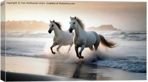 The Andalusian horse Canvas Print by Tom McPherson