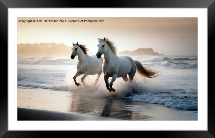 The Andalusian horse Framed Mounted Print by Tom McPherson