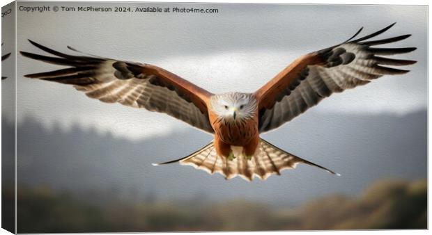 Red Kite in Oils Canvas Print by Tom McPherson