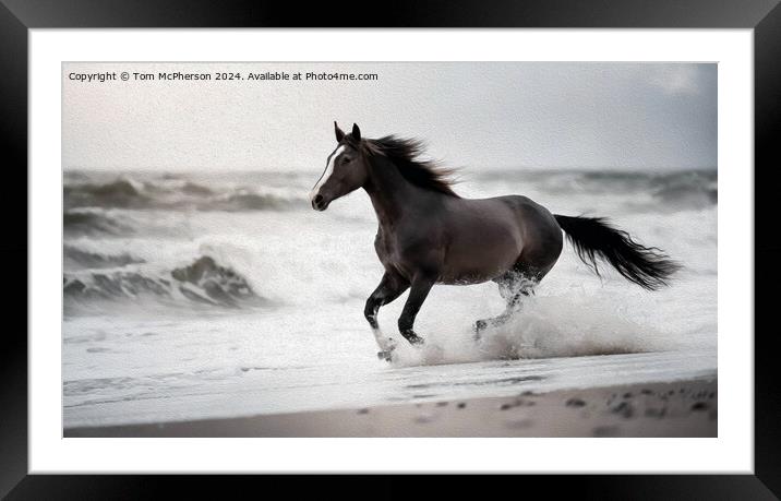 A brown horse standing next to a body of water Framed Mounted Print by Tom McPherson
