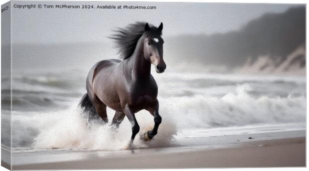 The Black Forest Horse  Canvas Print by Tom McPherson