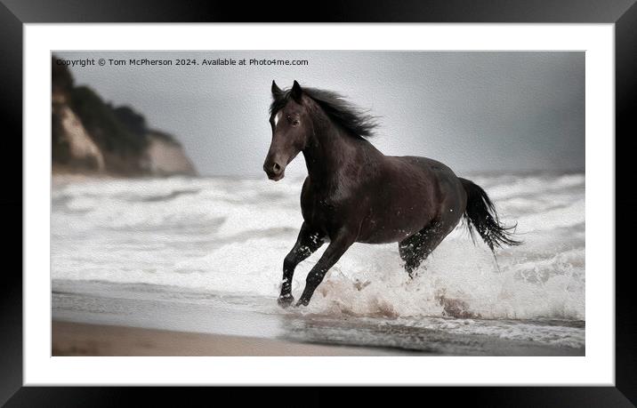 The Black Forest Horse  Framed Mounted Print by Tom McPherson