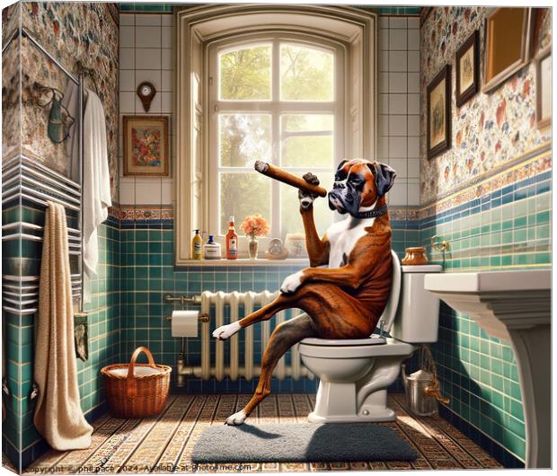 How a Classy Boxer Takes a Break: Cigar Time in the Bathroom 1 Canvas Print by phil pace