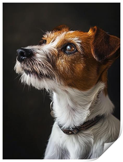 Jack Russell Portrait Print by K9 Art