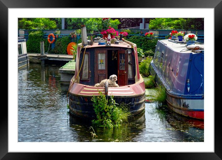 Canal Boat Life Framed Mounted Print by Alison Chambers