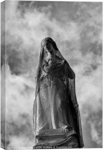 Statue with netting Canvas Print by Mark Phillips