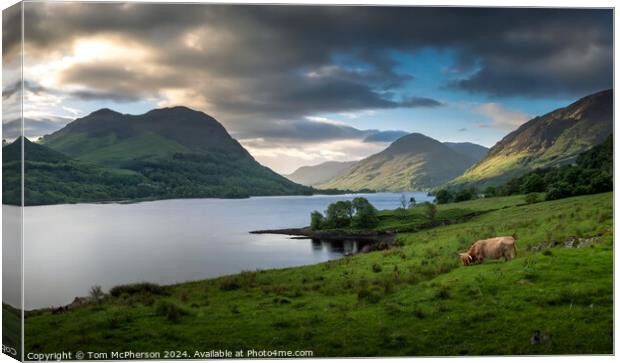 landscape of Loch Ness Canvas Print by Tom McPherson