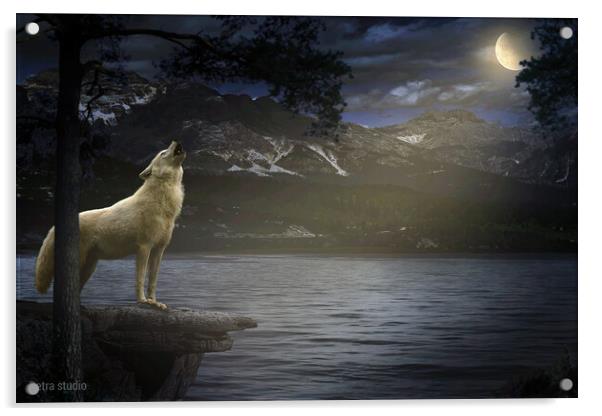 White Wolf Howling Acrylic by Dejan Travica