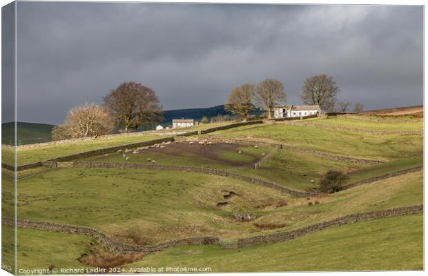 Another Barn in the Spotlight, Bowlees, Teesdale (2) Canvas Print by Richard Laidler