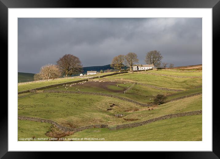 Another Barn in the Spotlight, Bowlees, Teesdale (2) Framed Mounted Print by Richard Laidler