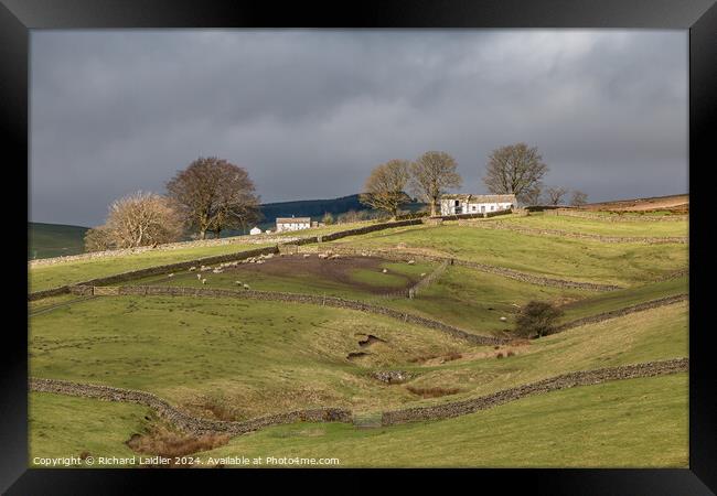 Another Barn in the Spotlight, Bowlees, Teesdale (2) Framed Print by Richard Laidler