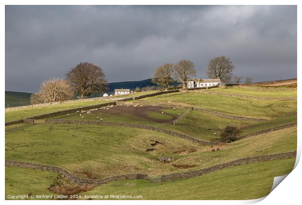 Another Barn in the Spotlight, Bowlees, Teesdale (2) Print by Richard Laidler