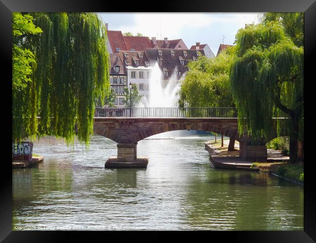 Strasbourg River, Bridge and Fountain Framed Print by Terry Brooks