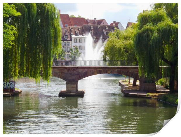 Strasbourg River, Bridge and Fountain Print by Terry Brooks