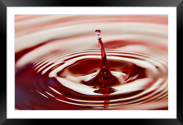 A Drop Of Love Framed Mounted Print by Kevin Tate