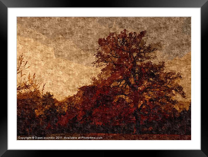 Autumn Trees Painting Framed Mounted Print by Dawn O'Connor