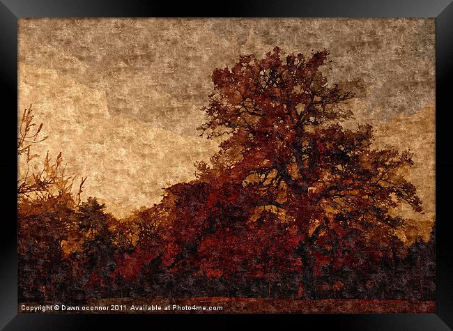 Autumn Trees Painting Framed Print by Dawn O'Connor