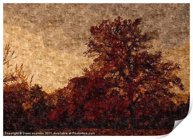 Autumn Trees Painting Print by Dawn O'Connor