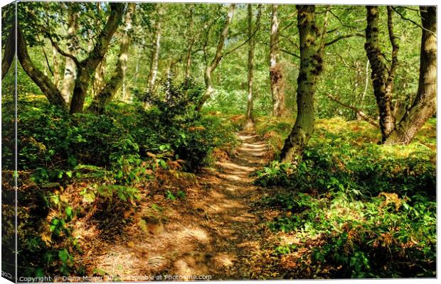 Blakes Wood in Springtime Canvas Print by Diana Mower