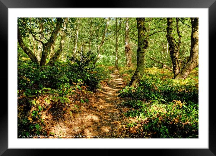 Blakes Wood in Springtime Framed Mounted Print by Diana Mower