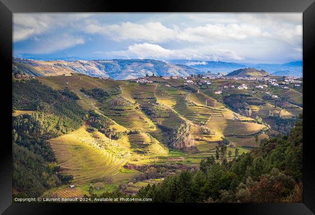 The Douro valley with the vineyards of the terraced fields, Port Framed Print by Laurent Renault