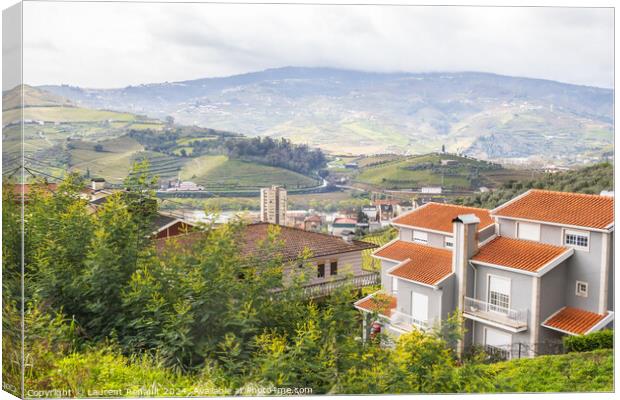 Landscape with terraced vineyards near Peso da Régua. Portugal Canvas Print by Laurent Renault