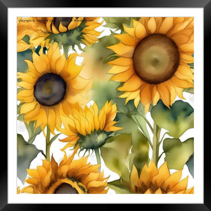 Sunflowers Watercolour Effect Framed Mounted Print by Lynn Bolt