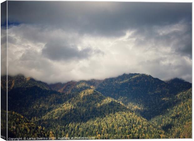 Outdoor mountain Canvas Print by Larisa Siverina