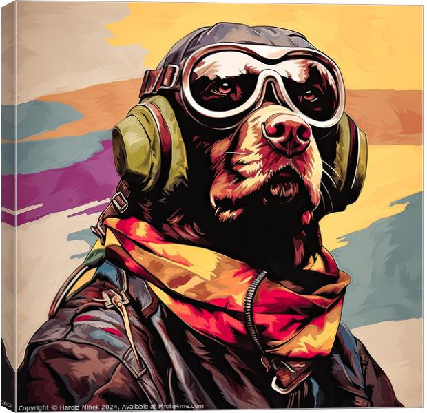 Dogfighter Canvas Print by Harold Ninek