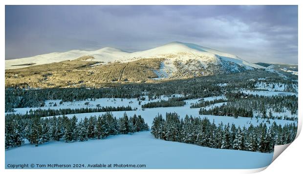 Cairngorms Print by Tom McPherson