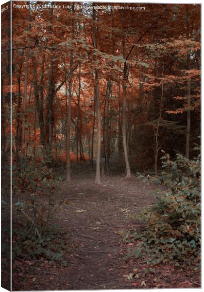 Path To Autumn Canvas Print by Christine Lake
